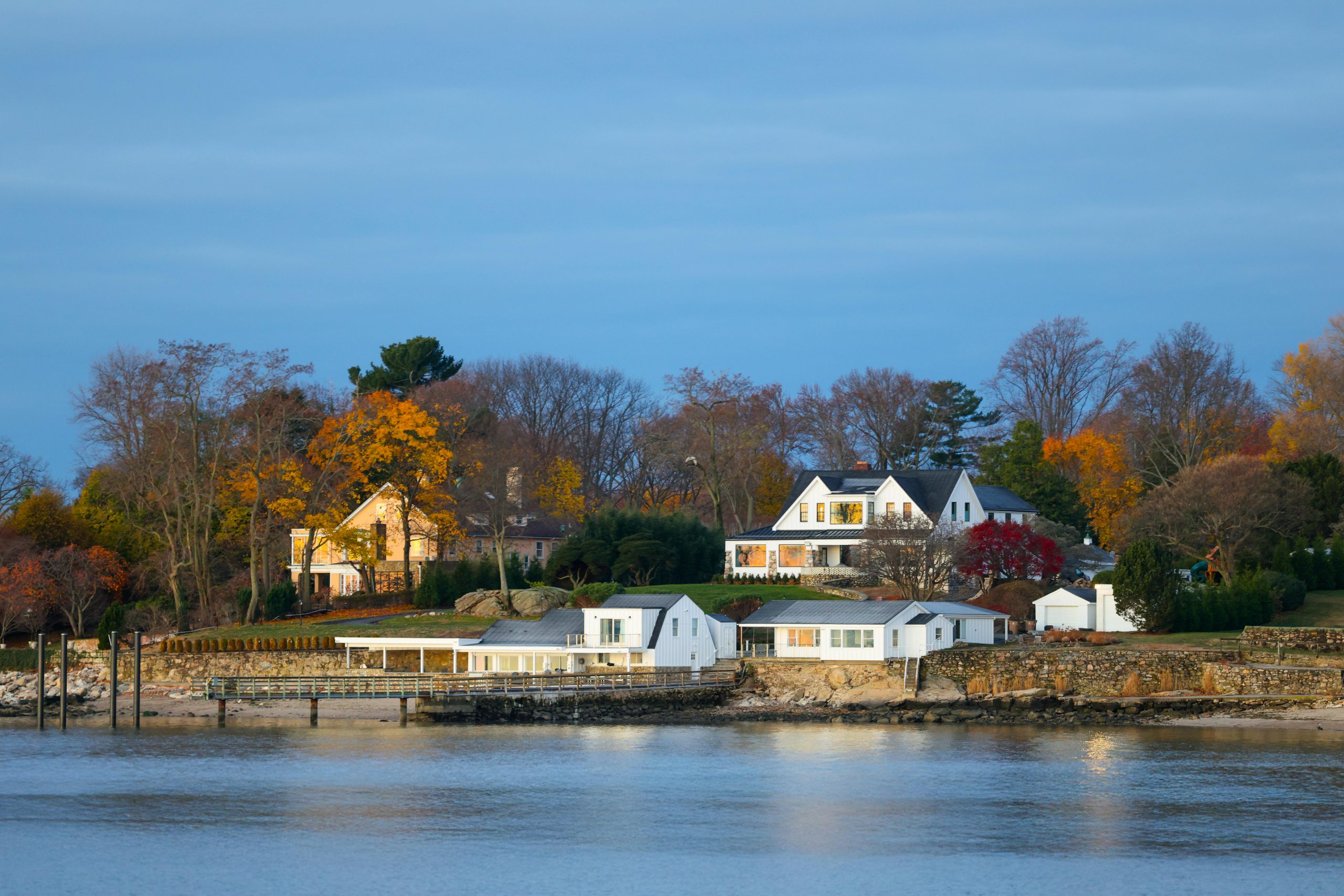 Online Vet Stamford CT