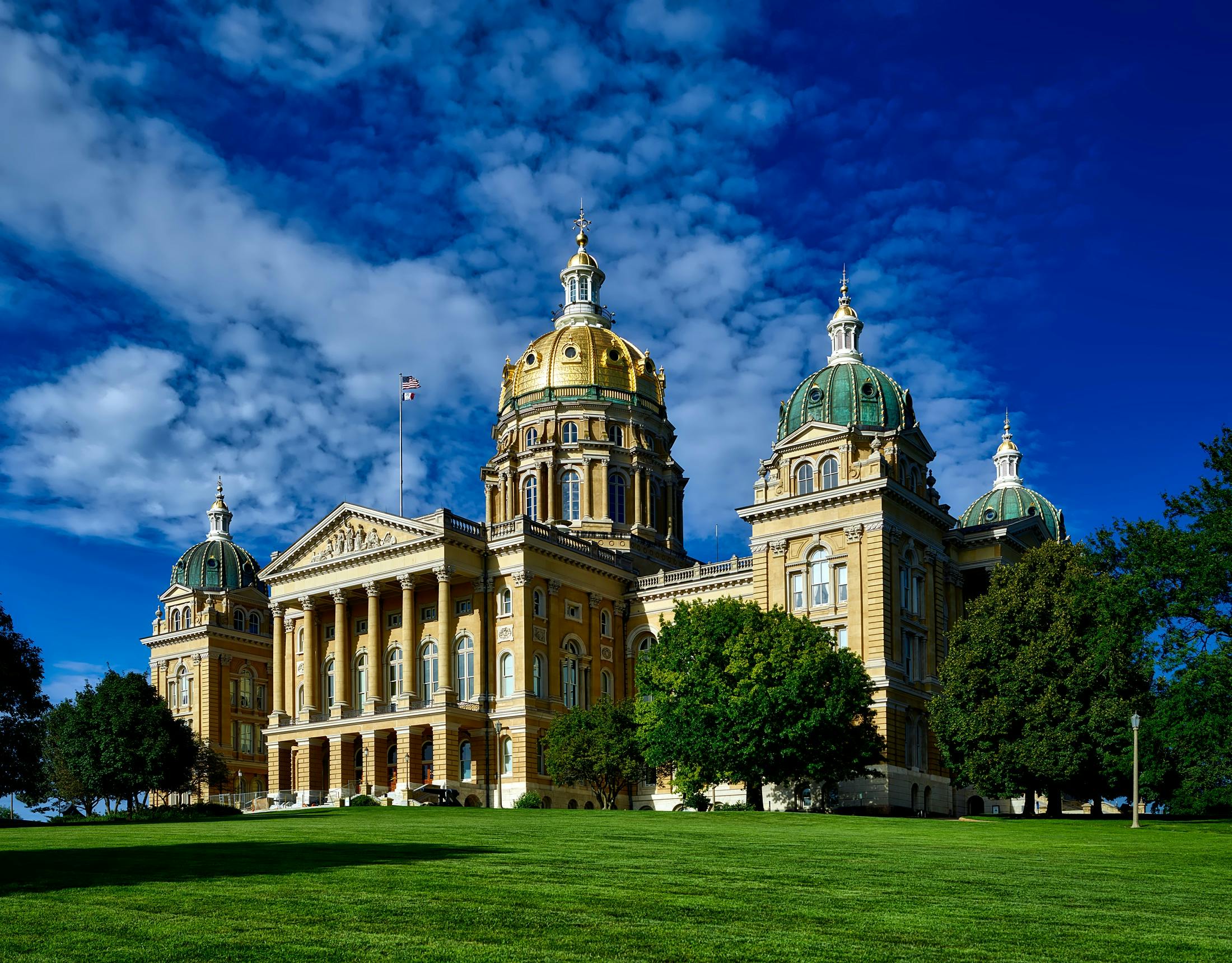 Online Vet Cedar Rapids IA