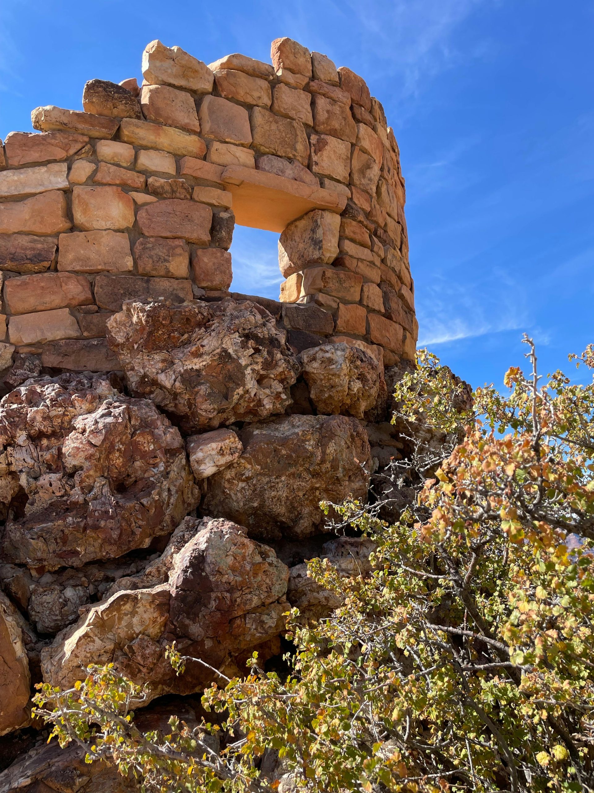 Online Vet Buckeye AZ