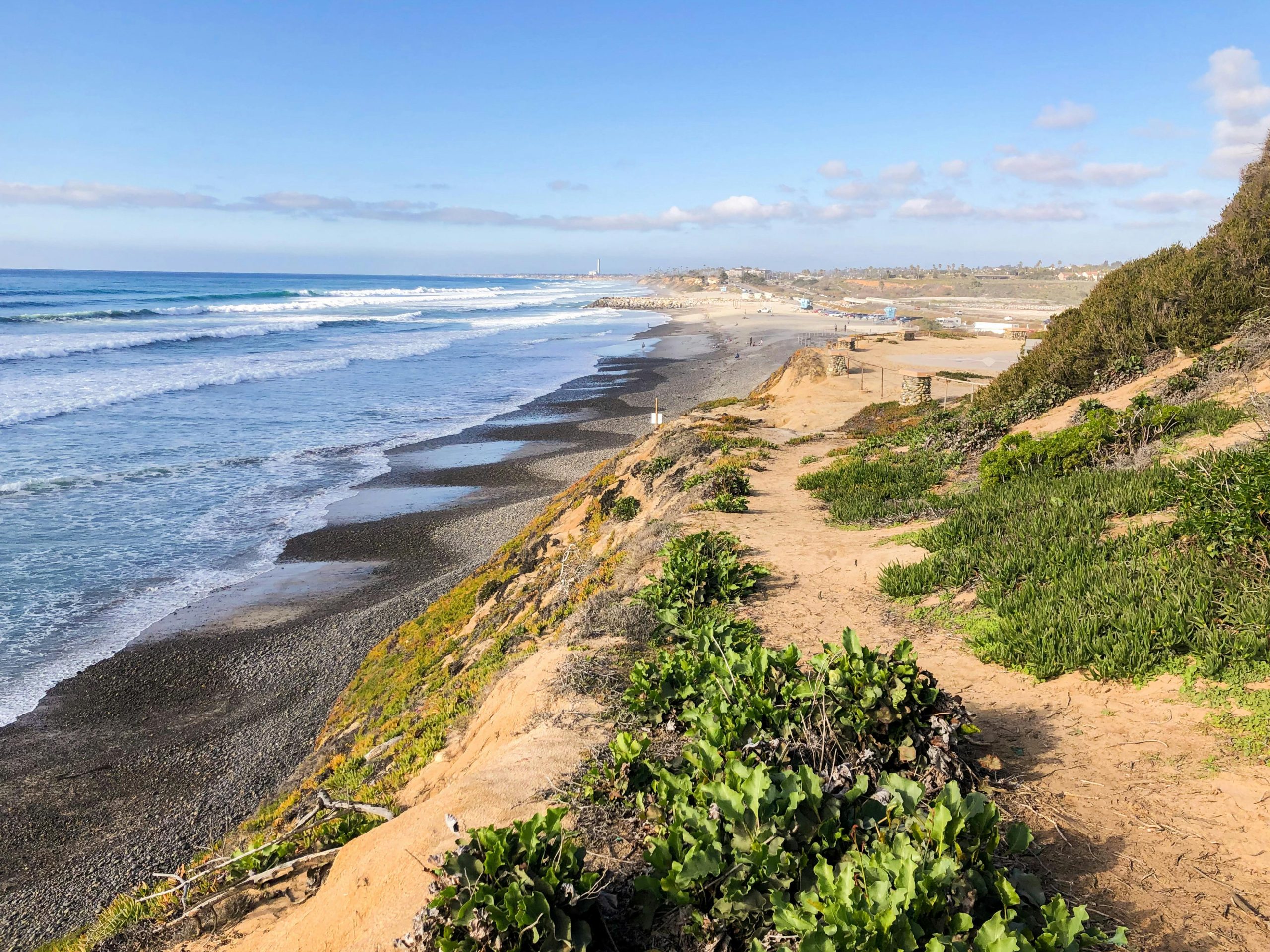 Online Vet Carlsbad CA