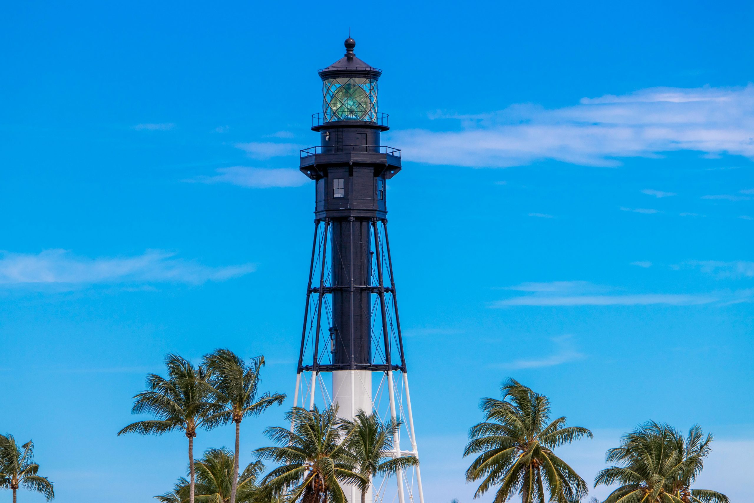 Online Vet Pompano Beach FL