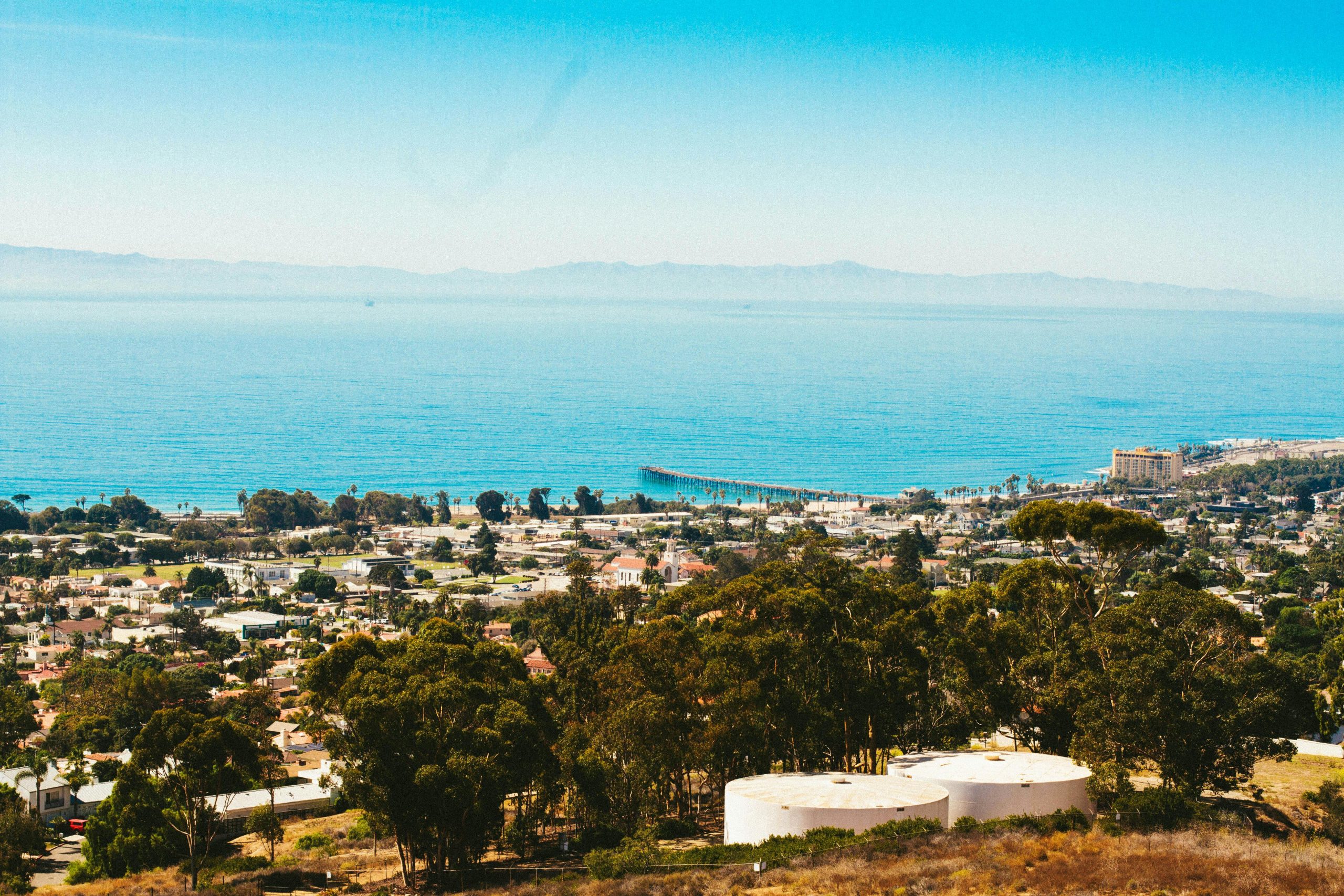 Online Vet Ventura CA